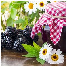 Картина стразами Ежевичное настроение 30 x 30 см Ah5287 Алмазное хобби