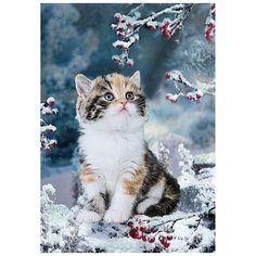 Картина стразами Пушистое счастье 30 х 40 см Ah5484 Алмазное хобби