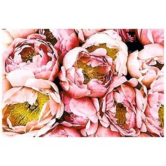 Картина стразами Пионы 20 x 30 см Ah5307 Алмазное хобби