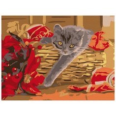 Картина по номерам 15х20 ПОДАРОК (12 цветов) Molly