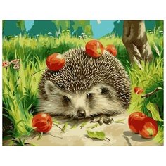 Картина по номерам Colibri "Ёжик с яблоками" 40х50см, арт. VA-1663