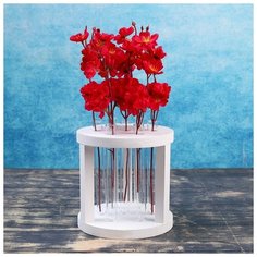 Кашпо деревянное 15×15×17 см с 7 колбами "Круг", белый Дарим Красиво 4427676