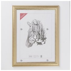 Фоторамка пластик 30х40 (609) 3839453 Зебра