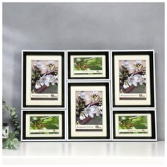 Фоторамка пластик 6 в 1 286-3118-1W 15х21 см, 10х15 см 5193390 Сима ленд