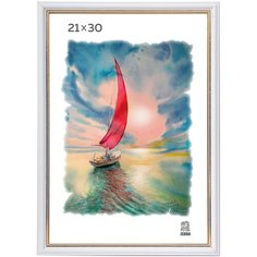 Рамка пластиковая 21х30 цвет белый 100 Зебра