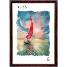 Рамка пластиковая 21х30 цвет бордовый 102 Зебра