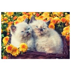 Алмазная мозаика "Серые котята в корзине"