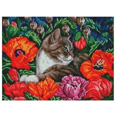 Мозаика на подрамнике 30*40 см Белоснежка 609-ST-S Кот в маках