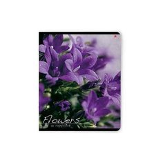 Тетради эконом предложение на гребне "Цветы и камни" набор 4 шт. Цена за 4 шт. Альт