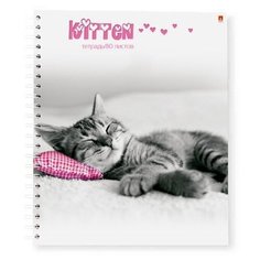 Тетрадь на гребне 80Л. А5+ "КОТЯТА" 4 ВИДА. Набор 4 шт.Цена за 4 шт. Альт