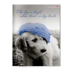 Тетрадь 80 листов А4 серия "ЩЕНКИ.КОНТРАСТЫ NEW" 3 ВИДА Альт