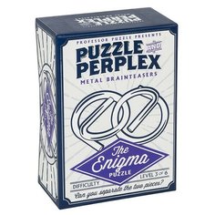 Головоломка Professor Puzzle Puzzle & Perplex The Enigma стальной