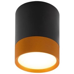 Спот DENKIRS DK4017-BG