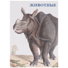 Набор открыток Белый город Животные, 15 шт.