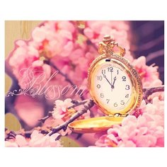 Color Kit Картина по номерам "Время цветения сакуры" 40х50 см (DER014)