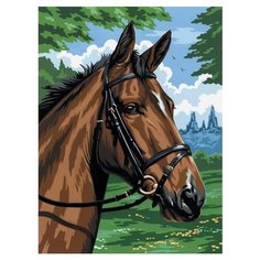 Royal & Langnickel Картина по номерам на холсте "Гнедой конь" 22х30 см (PCS8)