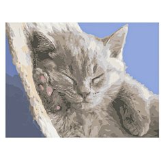 Рыжий кот Картина по номерам "Спящий котёнок" 30х40 см (Х-9086)