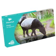 Набор карточек Умница Мир на ладошке. Джунгли 24 шт.