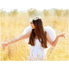 Рыжий кот Картина по номерам "Темноволосый ангел в поле" 40x50 см (Х-8638)