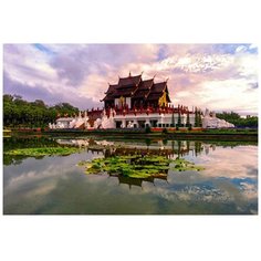 Рыжий кот картина по номерам "Прекрасный таиланд" 50х40 см (X-3677)