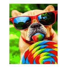 Paintboy Картина по номерам "Гламурный бульдог", 40х50 см (GX28854)