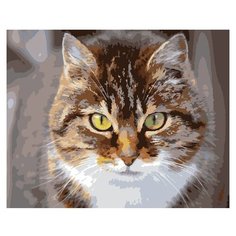 ФРЕЯ Картина по номерам "Охотник" 40х50 см (PNB-1 №01)