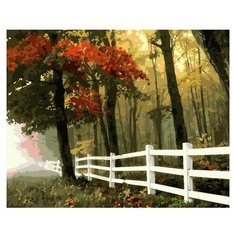 ФРЕЯ Картина по номерам "Осенний лес" 40х50 см (PNB-1 №22)