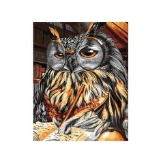 Paintboy картина по номерам "Грамотная сова" 40х50 см (GX34283)