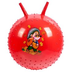 Фитбол BRADEX DE 0539 красный