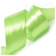 Лента Ideal атласная 50 мм, 27.4 м 3033 салатовый