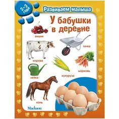 Развиваем малыша. У бабушки в деревне (2-3 года) Machaon