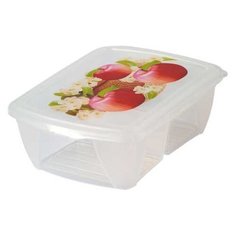 Контейнер двухсекционный, 1,6 л Ар Пласт