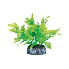 Laguna Растение для аквариума "Альтернантера" (зеленое), 8 см