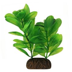 Laguna Растение для аквариума "Антуриум еканденс", 13 см