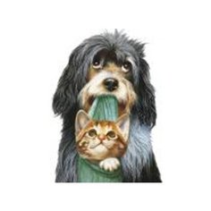 Набор для вышивания крестиком "Пушистые друзья", 40x50 см Рыжий кот