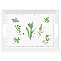 Поднос с ручками Easy Life Herbarium без инд.упаковки, пластик, 51х38 см (EL-R0347_HERU)