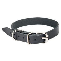 Ошейник для собак Дарэлл "ЧИП", натуральная кожа, 16 мм x 32-38 см