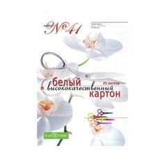 Белый картон №41 Альт, A4, 20 л.