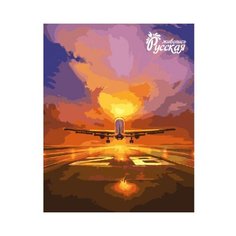 Русская Живопись Картина по номерам А. Чебоха. Взлёт 40х50 см (K002)