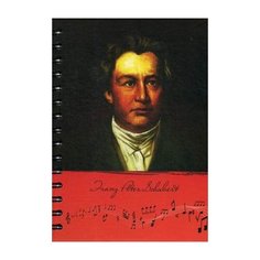 Скетчбук "Рисуй и слушай! Шуберт" Попурри