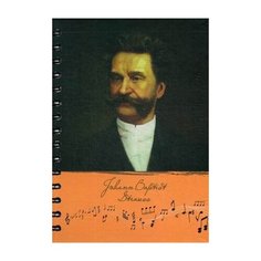 Скетчбук "Рисуй и слушай! Штраус" Попурри