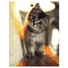 Картина по номерам Paintboy GX 29845 Любопытный малыш 40x50см