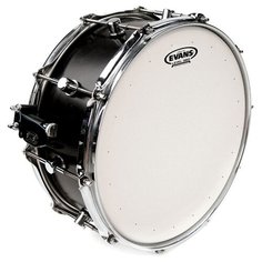 Evans B13DRY Пластик для барабана 13"