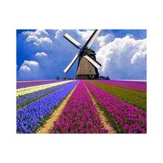 Алмазная мозаика "Голландский пейзаж", 30х40 см (с полным заполнением, с подрамником) Рыжий кот