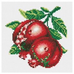 Мозаичная картина на подрамнике "Спелый гранат" (квадратные камни) Белоснежка