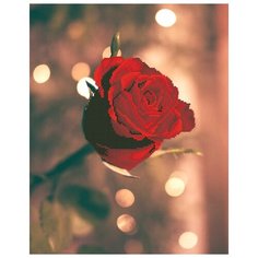 Кристальная мозаика (алмазная вышивка) Фрея "Роза для нее", арт. ALV-16