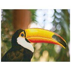 Кристальная мозаика (алмазная вышивка) Фрея "Тукан", арт. ALV-3, 52x39,5 см