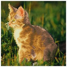 Кристальная мозаика (алмазная вышивка) Фрея "Любознательный котенок", арт. ALV-9
