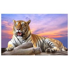 Картина по номерам "На закате" (19 цветов) Molly