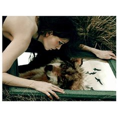 Картина по номерам "Волчица" (18 цветов) Molly